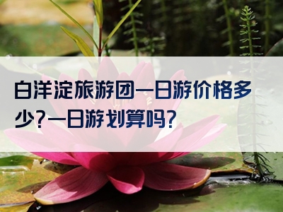 白洋淀旅游团一日游价格多少？一日游划算吗？