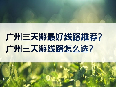 广州三天游最好线路推荐？广州三天游线路怎么选？