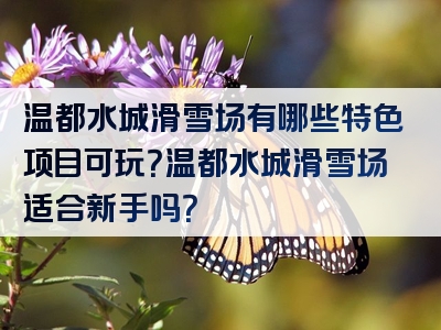 温都水城滑雪场有哪些特色项目可玩？温都水城滑雪场适合新手吗？