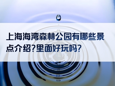 上海海湾森林公园有哪些景点介绍？里面好玩吗？