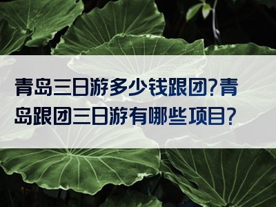 青岛三日游多少钱跟团？青岛跟团三日游有哪些项目？