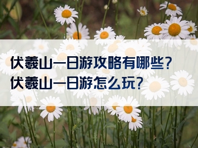 伏羲山一日游攻略有哪些？伏羲山一日游怎么玩？