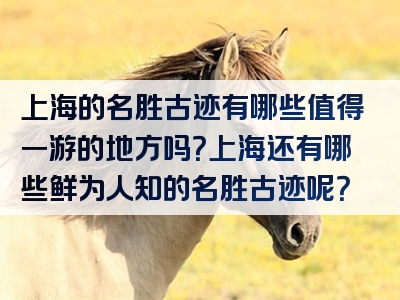 上海的名胜古迹有哪些值得一游的地方吗？上海还有哪些鲜为人知的名胜古迹呢？