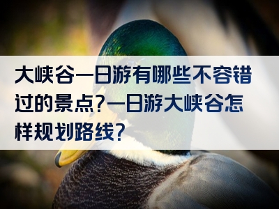 大峡谷一日游有哪些不容错过的景点？一日游大峡谷怎样规划路线？