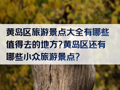 黄岛区旅游景点大全有哪些值得去的地方？黄岛区还有哪些小众旅游景点？