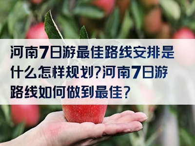 河南7日游最佳路线安排是什么怎样规划？河南7日游路线如何做到最佳？