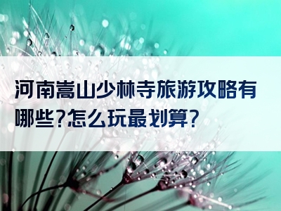 河南嵩山少林寺旅游攻略有哪些？怎么玩最划算？