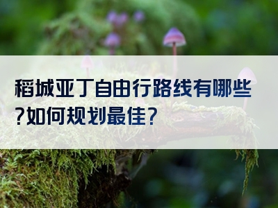 稻城亚丁自由行路线有哪些？如何规划最佳？