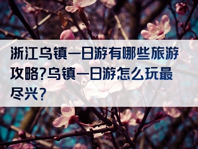 浙江乌镇一日游有哪些旅游攻略？乌镇一日游怎么玩最尽兴？