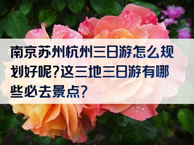 南京苏州杭州三日游怎么规划好呢？这三地三日游有哪些必去景点？