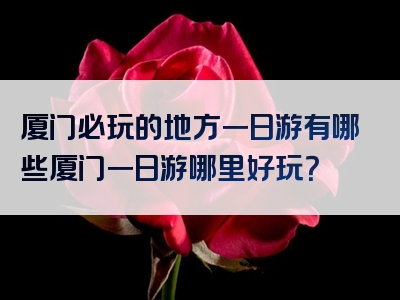 厦门必玩的地方一日游有哪些厦门一日游哪里好玩？