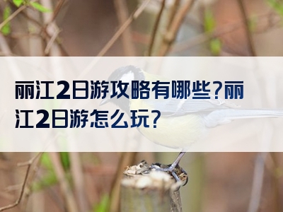 丽江2日游攻略有哪些？丽江2日游怎么玩？