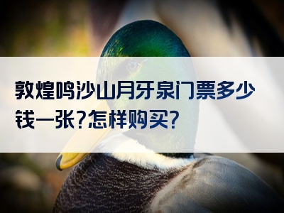 敦煌鸣沙山月牙泉门票多少钱一张？怎样购买？