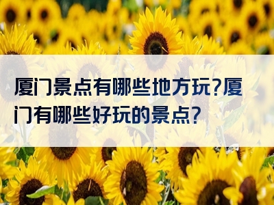 厦门景点有哪些地方玩？厦门有哪些好玩的景点？