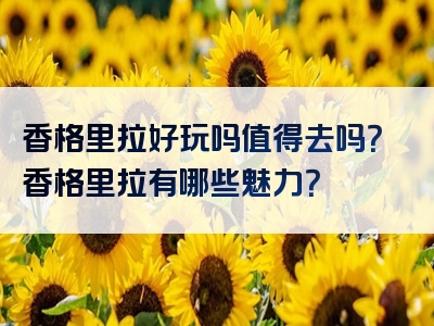 香格里拉好玩吗值得去吗？香格里拉有哪些魅力？