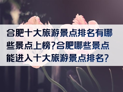 合肥十大旅游景点排名有哪些景点上榜？合肥哪些景点能进入十大旅游景点排名？