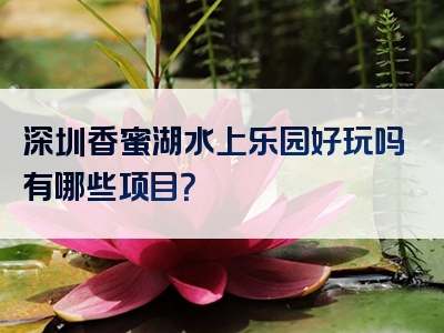 深圳香蜜湖水上乐园好玩吗有哪些项目？