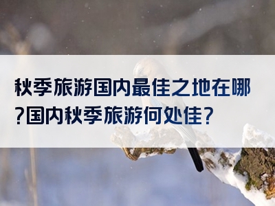 秋季旅游国内最佳之地在哪？国内秋季旅游何处佳？