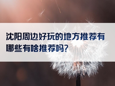 沈阳周边好玩的地方推荐有哪些有啥推荐吗？