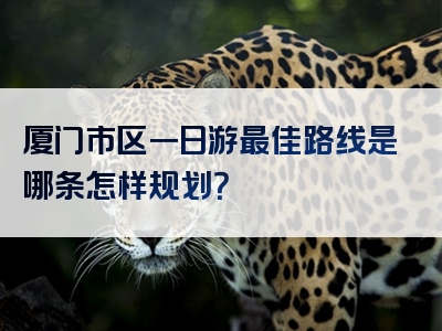 厦门市区一日游最佳路线是哪条怎样规划？