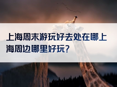 上海周末游玩好去处在哪上海周边哪里好玩？