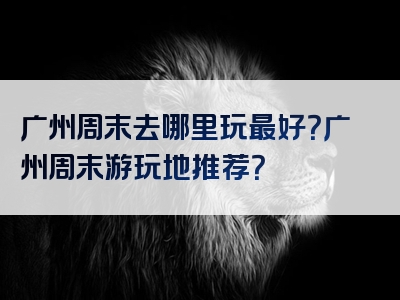 广州周末去哪里玩最好？广州周末游玩地推荐？