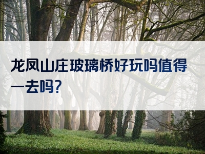 龙凤山庄玻璃桥好玩吗值得一去吗？