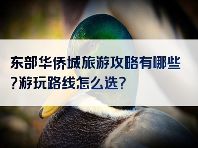 东部华侨城旅游攻略有哪些？游玩路线怎么选？