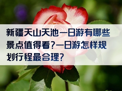 新疆天山天池一日游有哪些景点值得看？一日游怎样规划行程最合理？