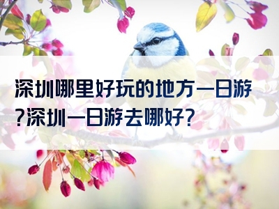 深圳哪里好玩的地方一日游？深圳一日游去哪好？