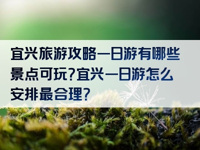 宜兴旅游攻略一日游有哪些景点可玩？宜兴一日游怎么安排最合理？