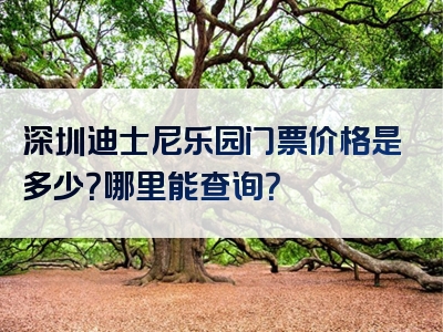 深圳迪士尼乐园门票价格是多少？哪里能查询？