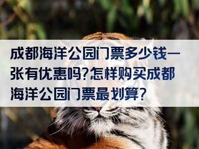 成都海洋公园门票多少钱一张有优惠吗？怎样购买成都海洋公园门票最划算？