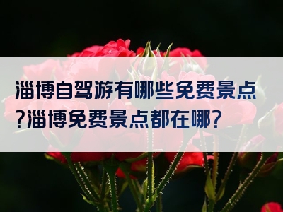 淄博自驾游有哪些免费景点？淄博免费景点都在哪？