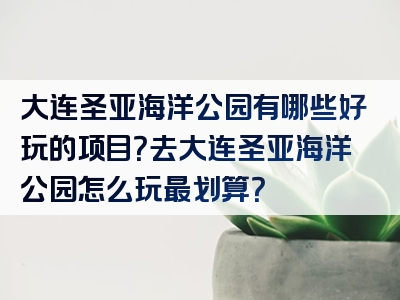 大连圣亚海洋公园有哪些好玩的项目？去大连圣亚海洋公园怎么玩最划算？