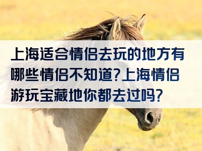 上海适合情侣去玩的地方有哪些情侣不知道？上海情侣游玩宝藏地你都去过吗？