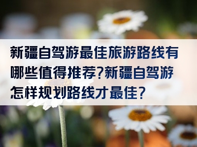 新疆自驾游最佳旅游路线有哪些值得推荐？新疆自驾游怎样规划路线才最佳？