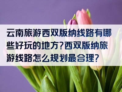 云南旅游西双版纳线路有哪些好玩的地方？西双版纳旅游线路怎么规划最合理？