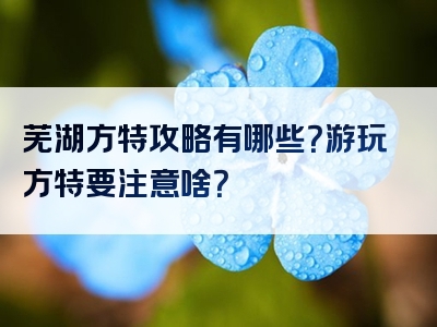 芜湖方特攻略有哪些？游玩方特要注意啥？