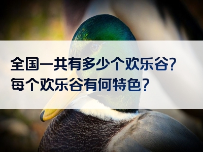 全国一共有多少个欢乐谷？每个欢乐谷有何特色？
