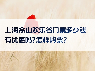 上海佘山欢乐谷门票多少钱有优惠吗？怎样购票？