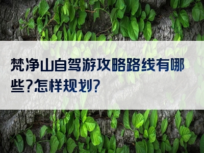 梵净山自驾游攻略路线有哪些？怎样规划？