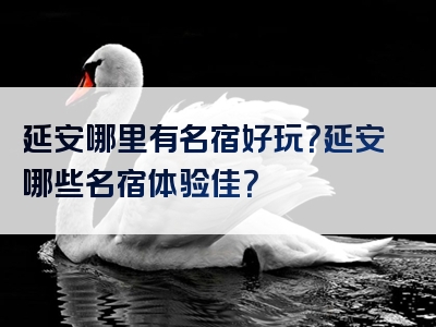 延安哪里有名宿好玩？延安哪些名宿体验佳？