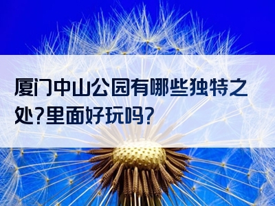 厦门中山公园有哪些独特之处？里面好玩吗？