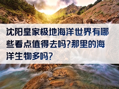 沈阳皇家极地海洋世界有哪些看点值得去吗？那里的海洋生物多吗？