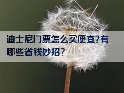 迪士尼门票怎么买便宜？有哪些省钱妙招？