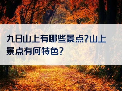 九日山上有哪些景点？山上景点有何特色？