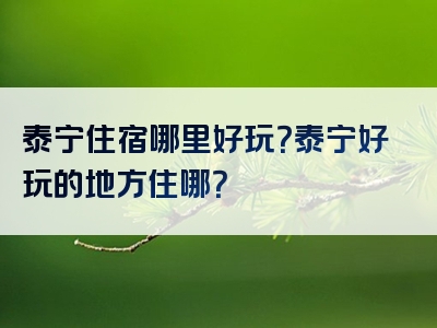 泰宁住宿哪里好玩？泰宁好玩的地方住哪？