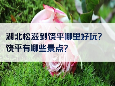 湖北松滋到饶平哪里好玩？饶平有哪些景点？