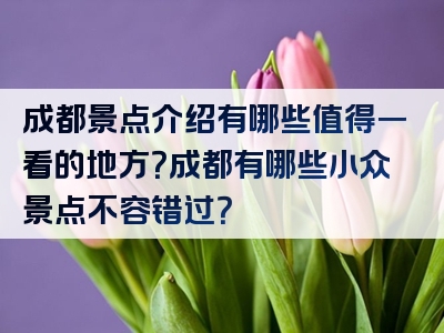 成都景点介绍有哪些值得一看的地方？成都有哪些小众景点不容错过？